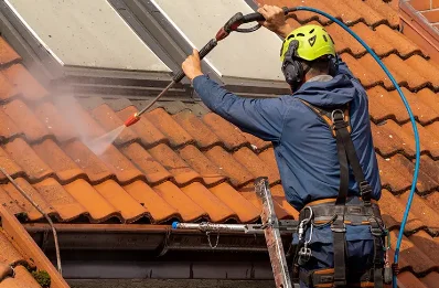 Démoussage et hydrofuge de toiture à Queyrières